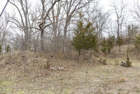 LOT 19 & LOT 18 Williams Road Lake Marian IL 60110