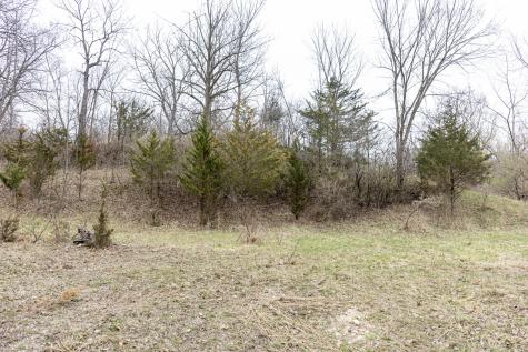 LOT 19 & LOT 18 Williams Road Lake Marian IL 60110