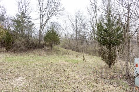 LOT 19 & LOT 18 Williams Road Lake Marian IL 60110