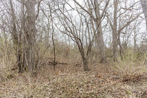 LOT 19 & LOT 18 Williams Road Lake Marian IL 60110