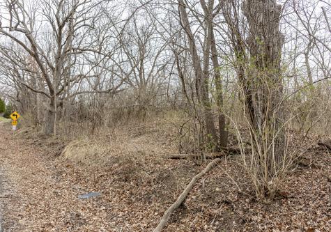 LOT 19 & LOT 18 Williams Road Lake Marian IL 60110