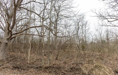 LOT 19 & LOT 18 Williams Road Lake Marian IL 60110