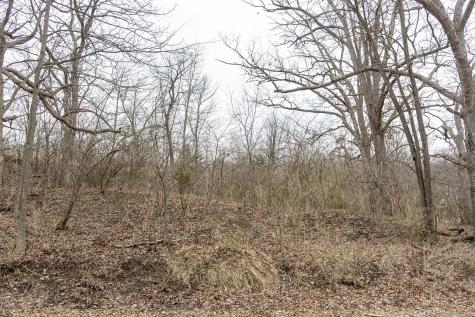 LOT 19 & LOT 18 Williams Road Lake Marian IL 60110