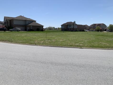 2063 Nichols Drive Lynwood IL 60411