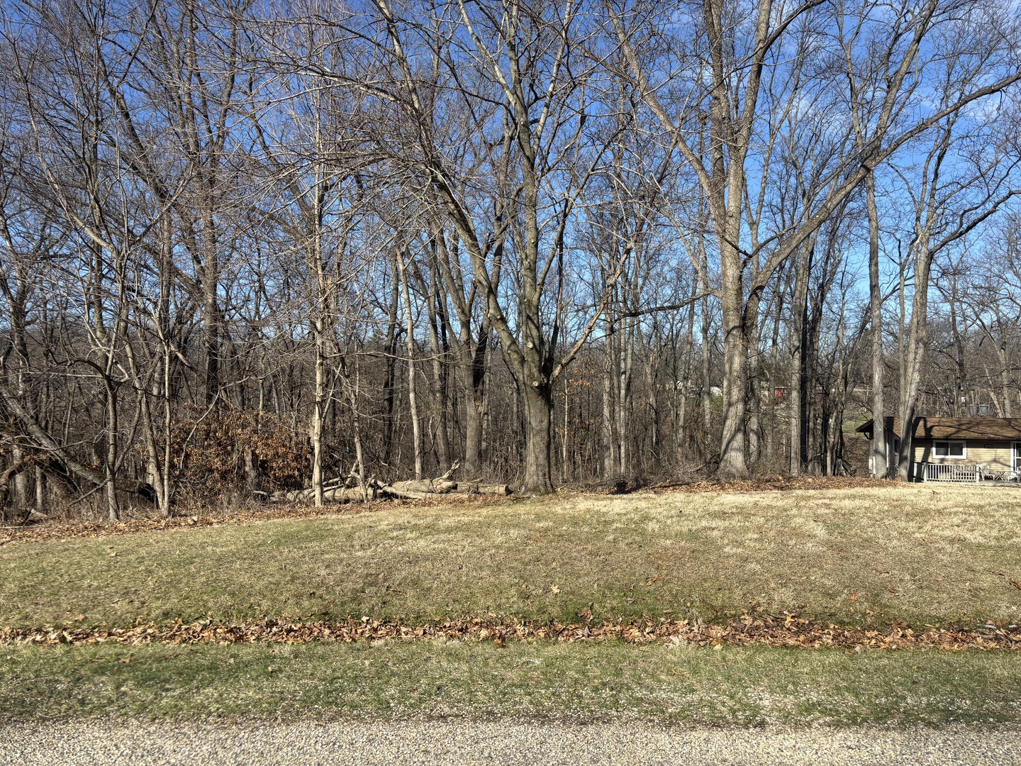 1668 Lakeside Court Varna IL 61375
