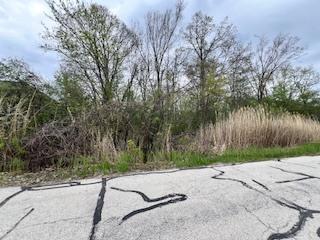 17W246 Red Oak Street Bensenville IL 60106