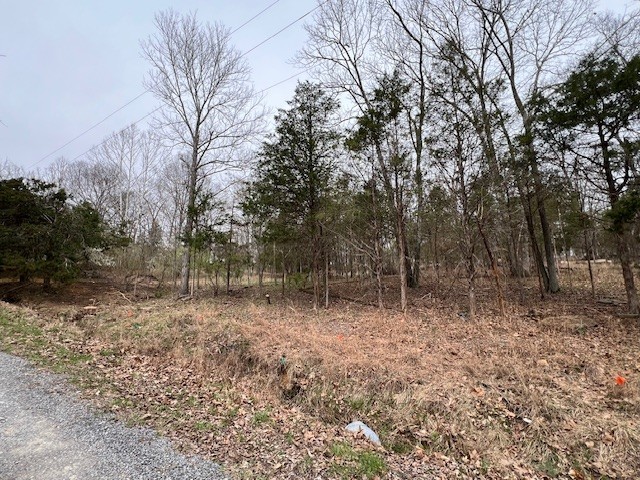 Lot 1234 Indian Camp Drive Goreville IL 62939