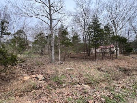 Lot 1234 Indian Camp Drive Goreville IL 62939