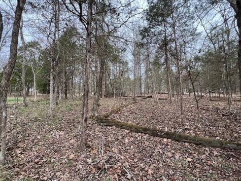 Lot 1234 Indian Camp Drive Goreville IL 62939