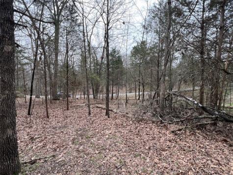 Lot 1234 Indian Camp Drive Goreville IL 62939