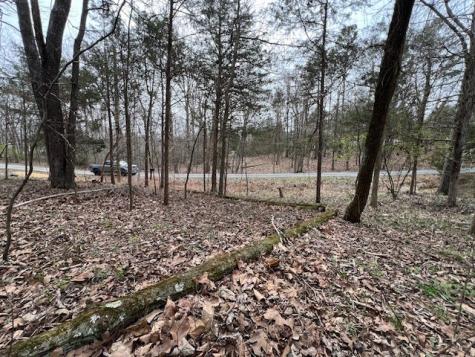 Lot 1234 Indian Camp Drive Goreville IL 62939