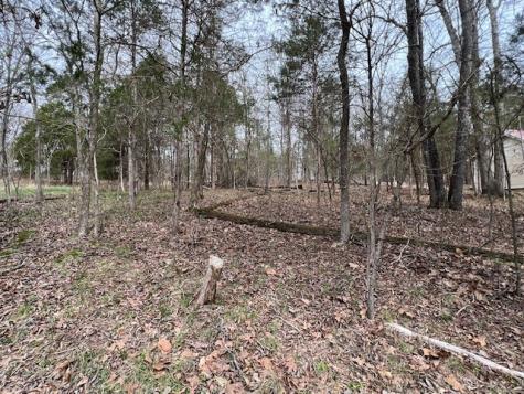Lot 1234 Indian Camp Drive Goreville IL 62939