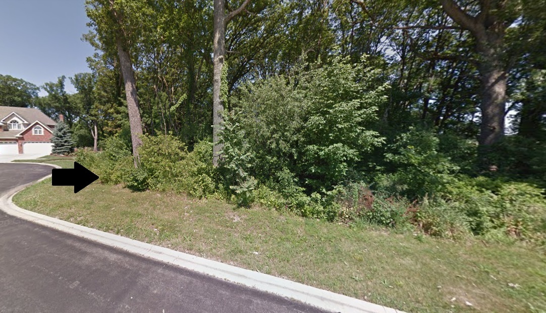 11916 Canon Road Orland Park IL 60467