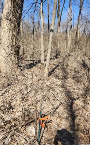 78 Skinner Drive Putnam IL 61560