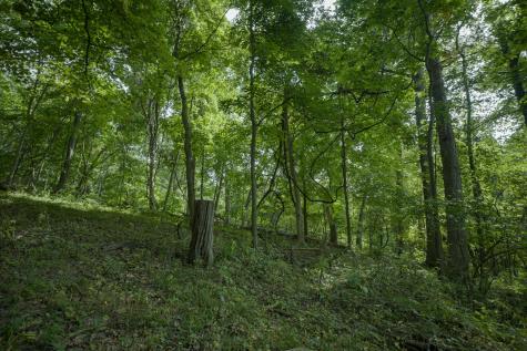 4820 Kopper Pond Road Hanover IL 61041