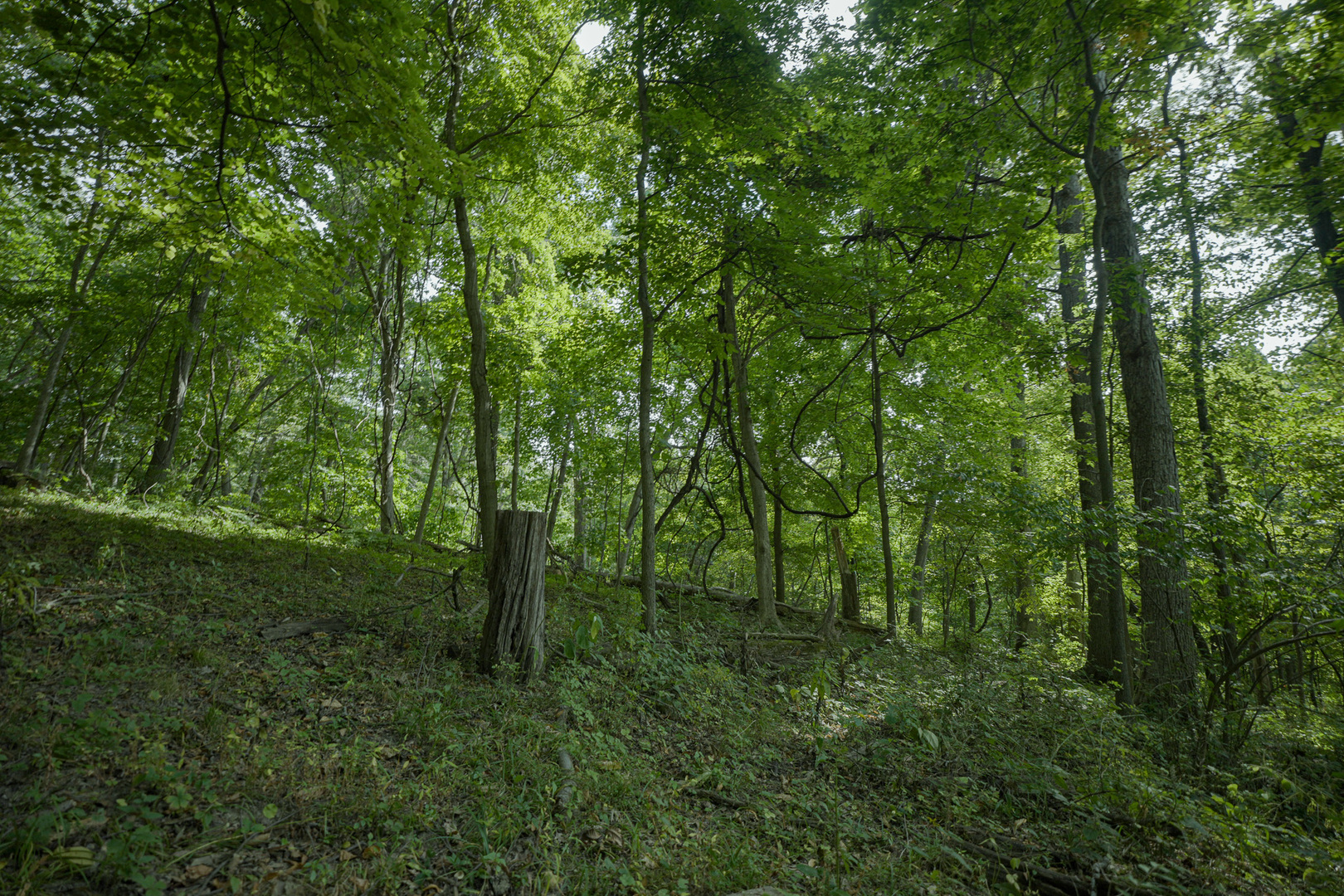 4820 Kopper Pond Road Hanover IL 61041