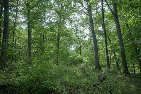 4820 Kopper Pond Road Hanover IL 61041