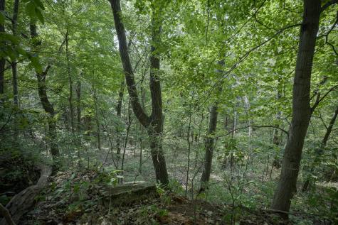 4820 Kopper Pond Road Hanover IL 61041