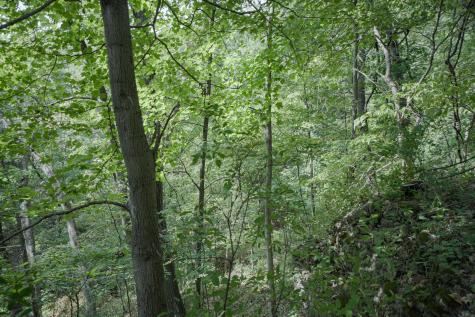 4820 Kopper Pond Road Hanover IL 61041