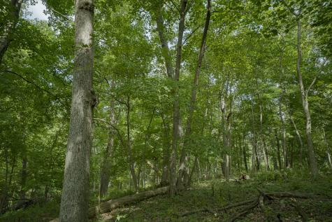 4820 Kopper Pond Road Hanover IL 61041