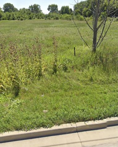 738 Crest Avenue Schaumburg IL 60193