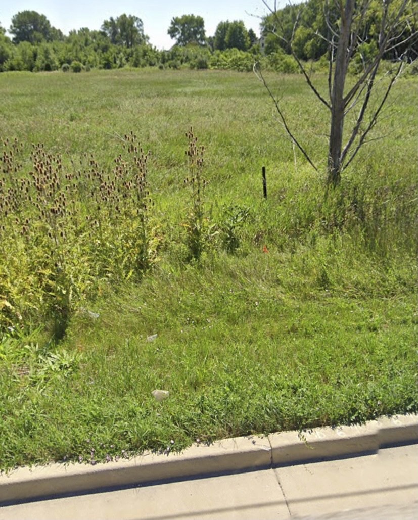 738 Crest Avenue Schaumburg IL 60193
