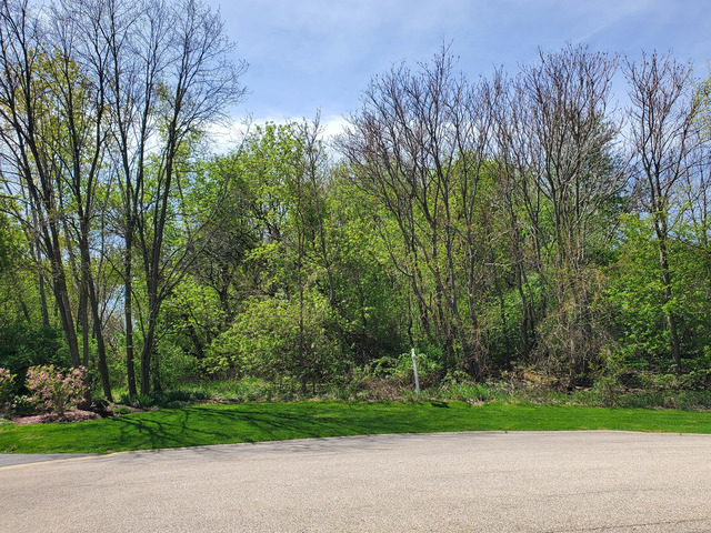 16149 Scenic Court Wadsworth IL 60083
