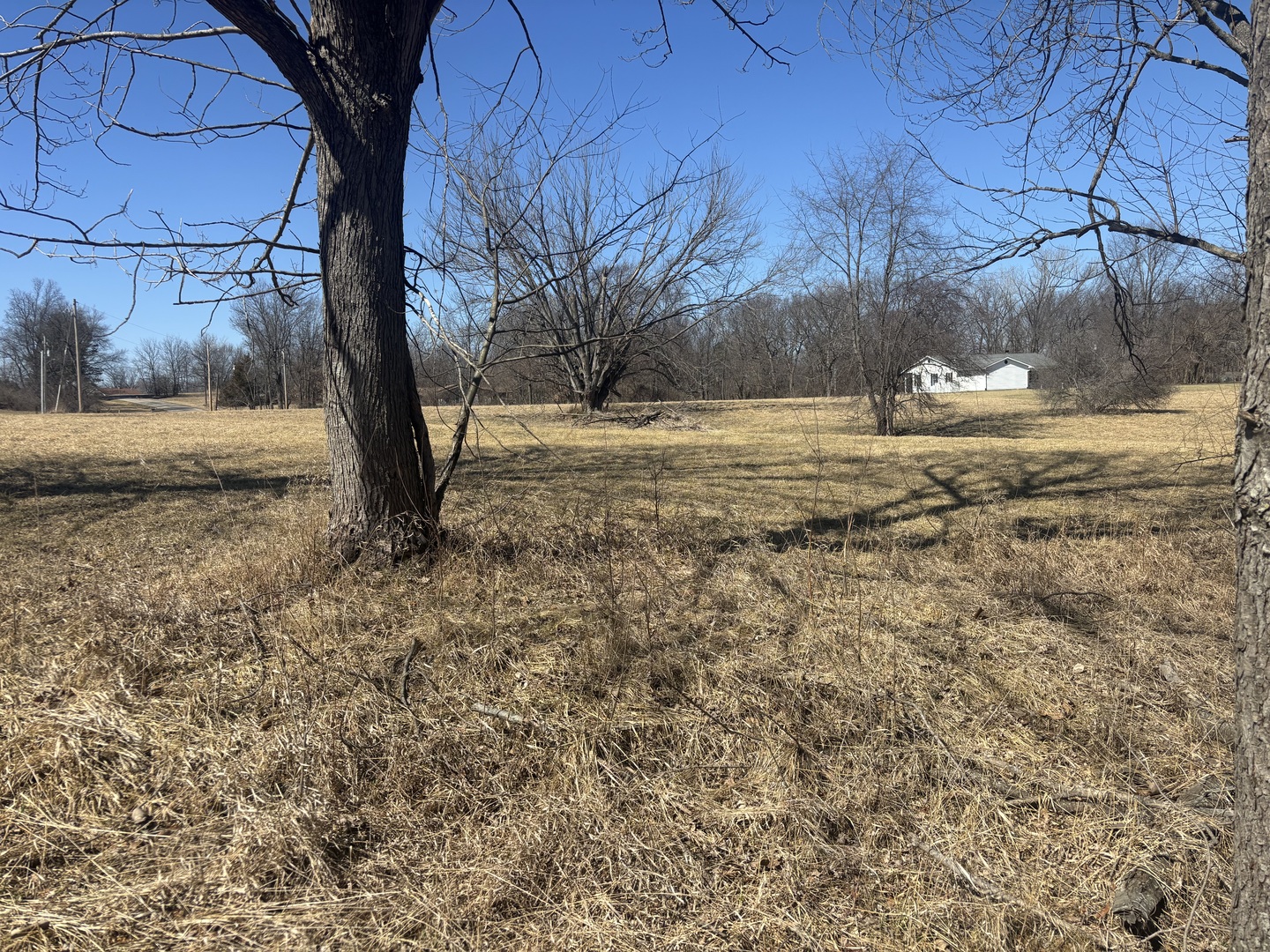 1542 Key Court Varna IL 61375