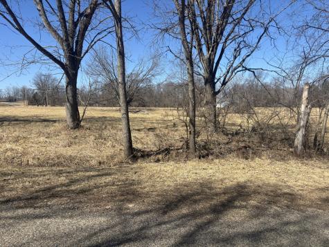 1542 Key Court Varna IL 61375