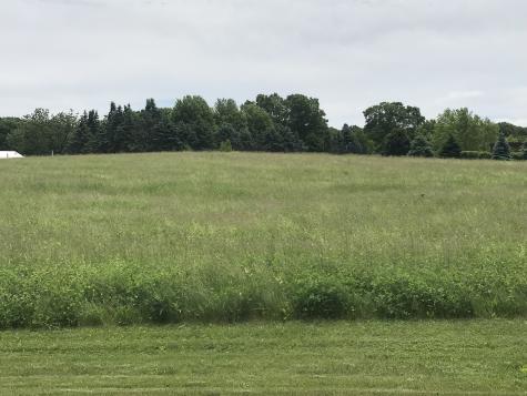 Lot #5 Derek Drive Elburn IL 60119