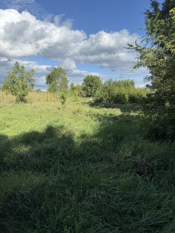 Plum Hollow Court Dixon IL 61021