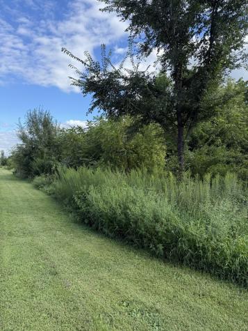 Plum Hollow Court Dixon IL 61021