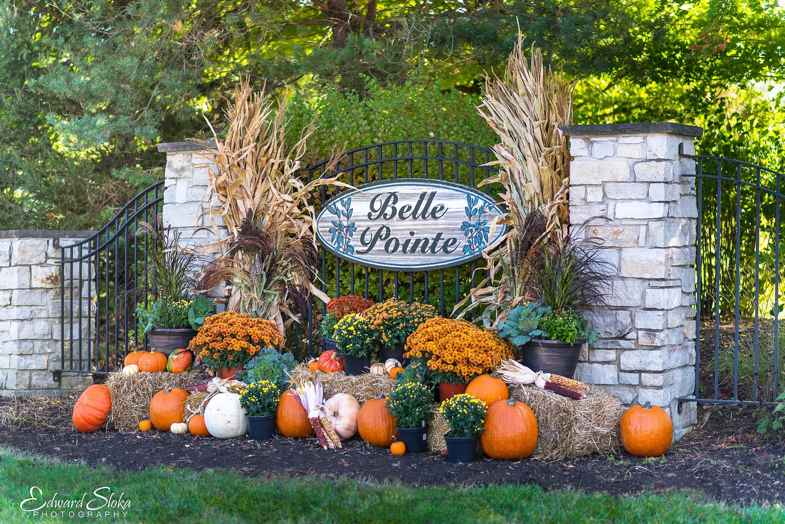 16009 Sara Lane Union IL 60180