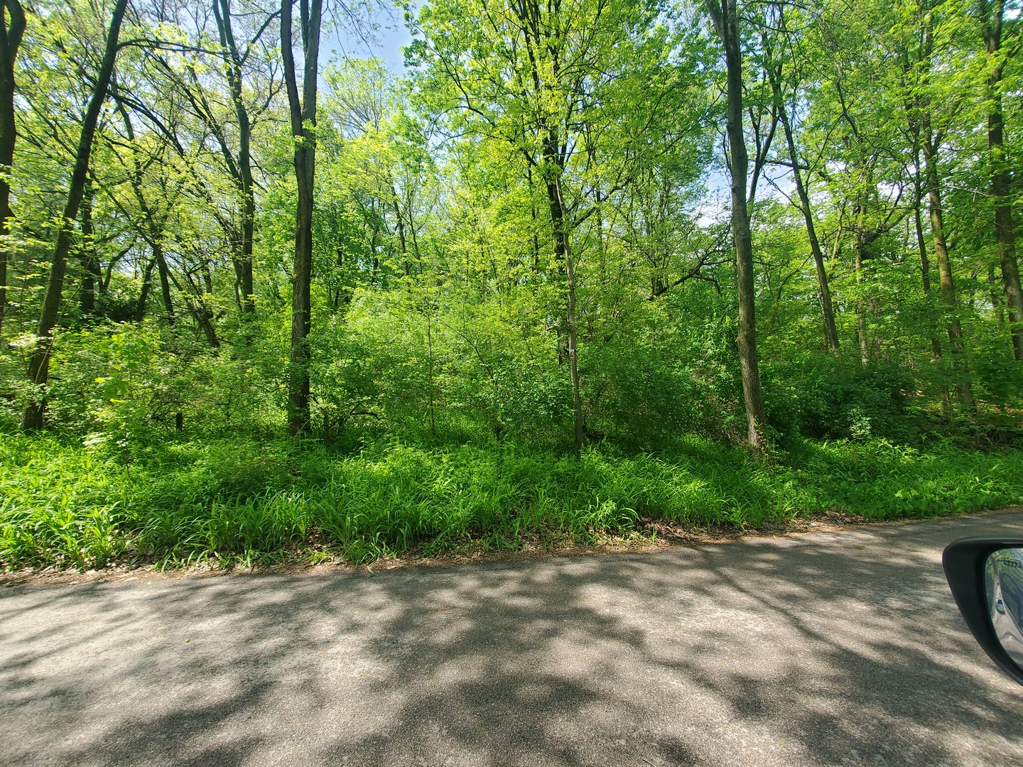 39080 North Jackson Drive Spring Grove IL 60081