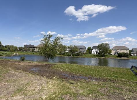 21339 Somerset Street Shorewood IL 60404