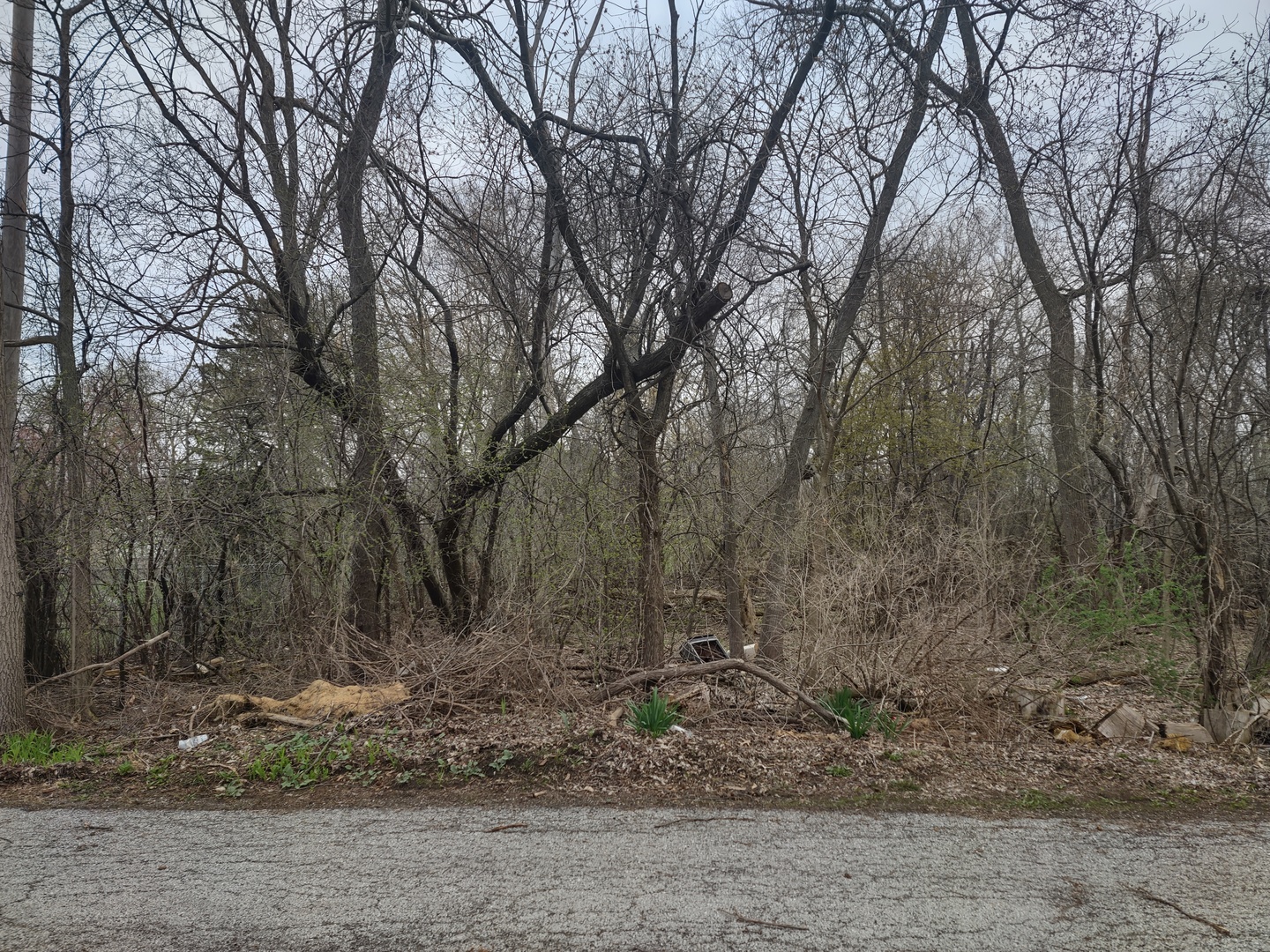 40540 North Minena Street Antioch IL 60002