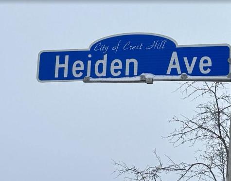 Vacant Heiden Avenue Crest Hill IL 60403