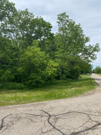 Lot 65,66,&64 Main Street Spring Grove IL 60081