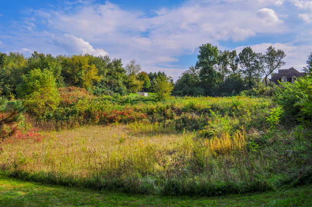 4353 Carlisle Drive Crystal Lake IL 60012