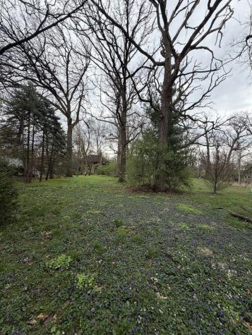 11407 Hiawatha Lane Indian Head Park IL 60525