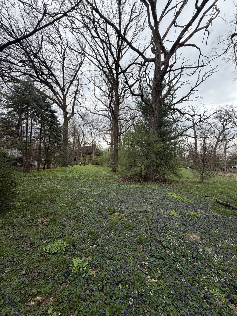 11407 Hiawatha Lane Indian Head Park IL 60525