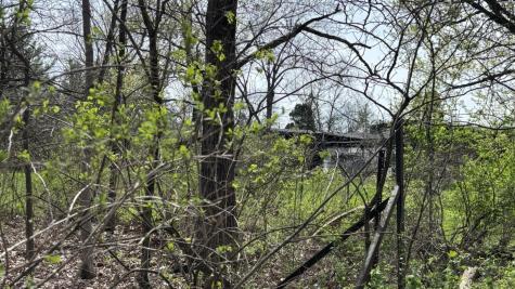 258 South Root Drive Crete IL 60417