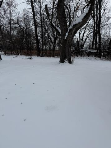 19611 Crawford Avenue Flossmoor IL 60422