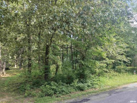 0000 White Birch Court Benton IL 62812