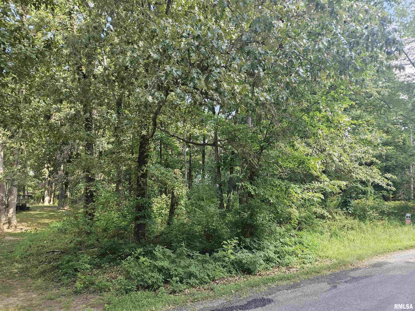 0000 White Birch Court Benton IL 62812