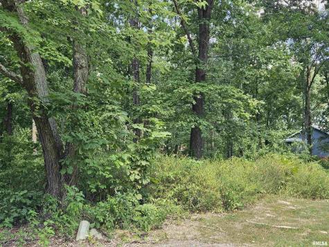 0000 White Birch Court Benton IL 62812