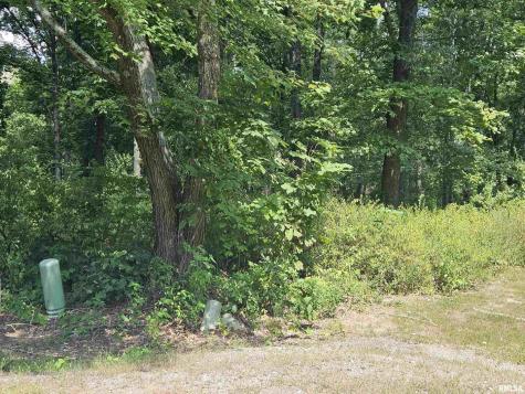 0000 White Birch Court Benton IL 62812