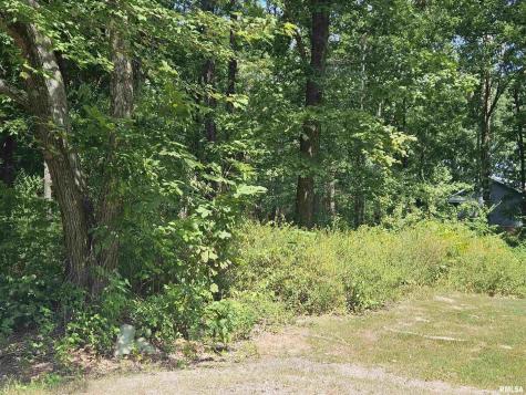 0000 White Birch Court Benton IL 62812