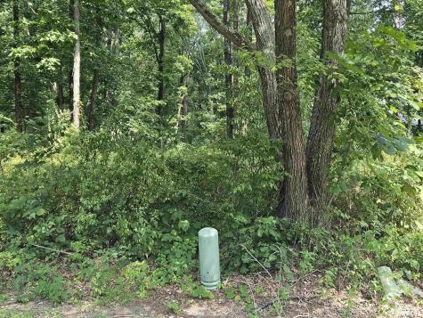 0000 White Birch Court Benton IL 62812