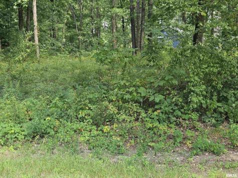 0000 White Birch Court Benton IL 62812